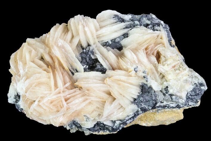 Cerussite Crystals with Bladed Barite on Galena - Morocco #100771